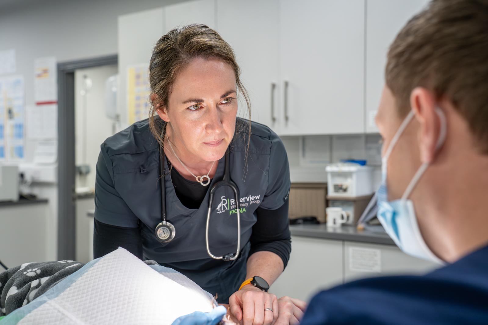 Kinsale, Riverview Veterinary Group (Web) 074