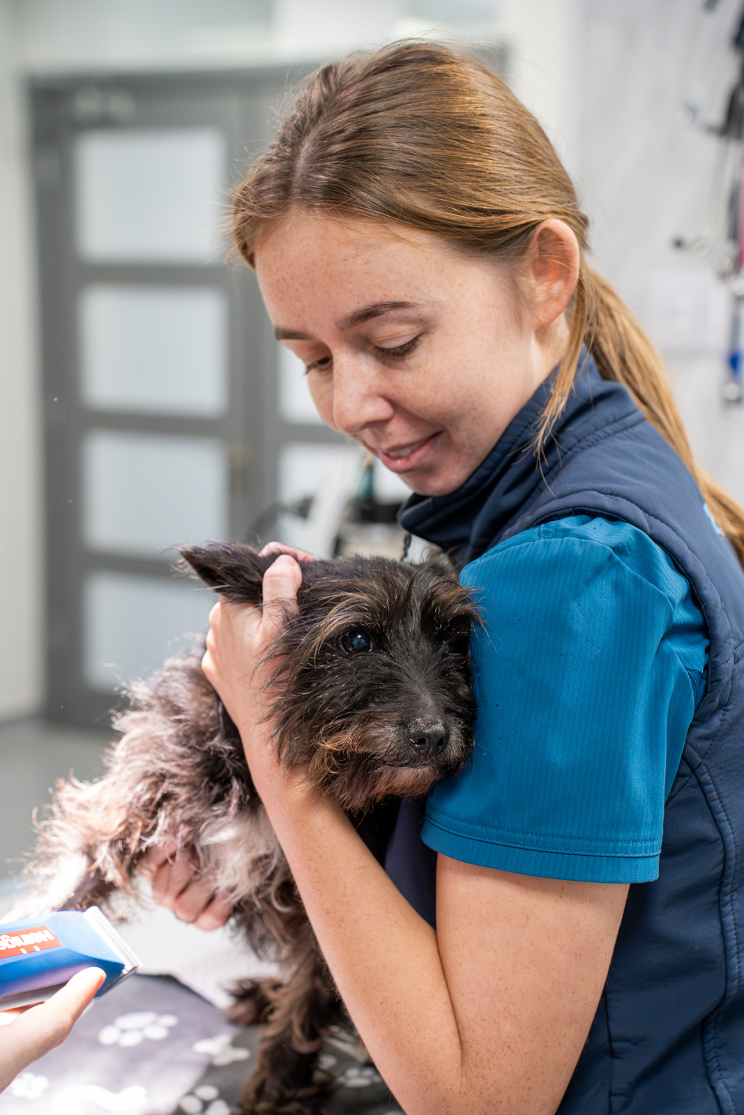 Kinsale, Riverview Veterinary Group (Web) 015